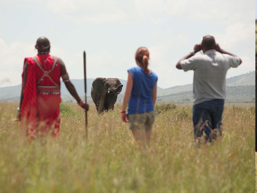 Sarova Mara Game Camp Villa Sekenani ภายนอก รูปภาพ